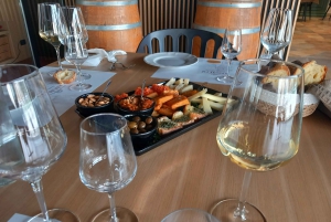 Palermo: Erice & Marsala Salt Pans Tour with Lunch & Tasting