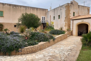 Palermo: Erice & Marsala Salt Pans Tour with Lunch & Tasting
