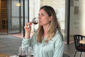 Palermo: Erice & Marsala Salt Pans Tour with Lunch & Tasting