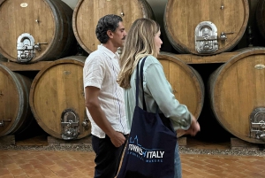 Palermo: Erice & Marsala Salt Pans Tour with Lunch & Tasting