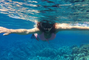 Palermo: Dagsutflykt med snorklingsbåt med lunch och vin