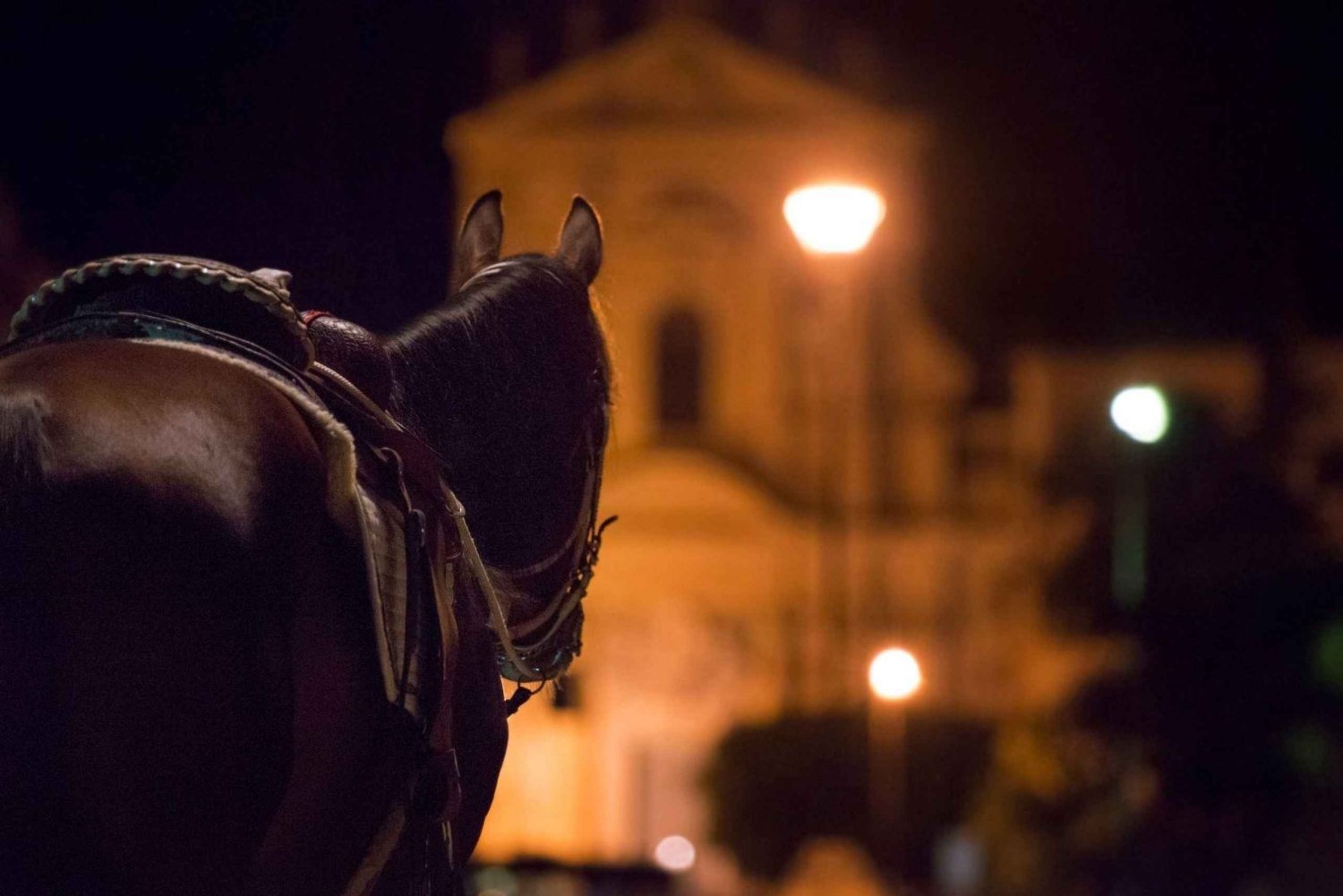 De duistere kanten van Palermo: spooktocht, misdaad- en proeverijwandeltour