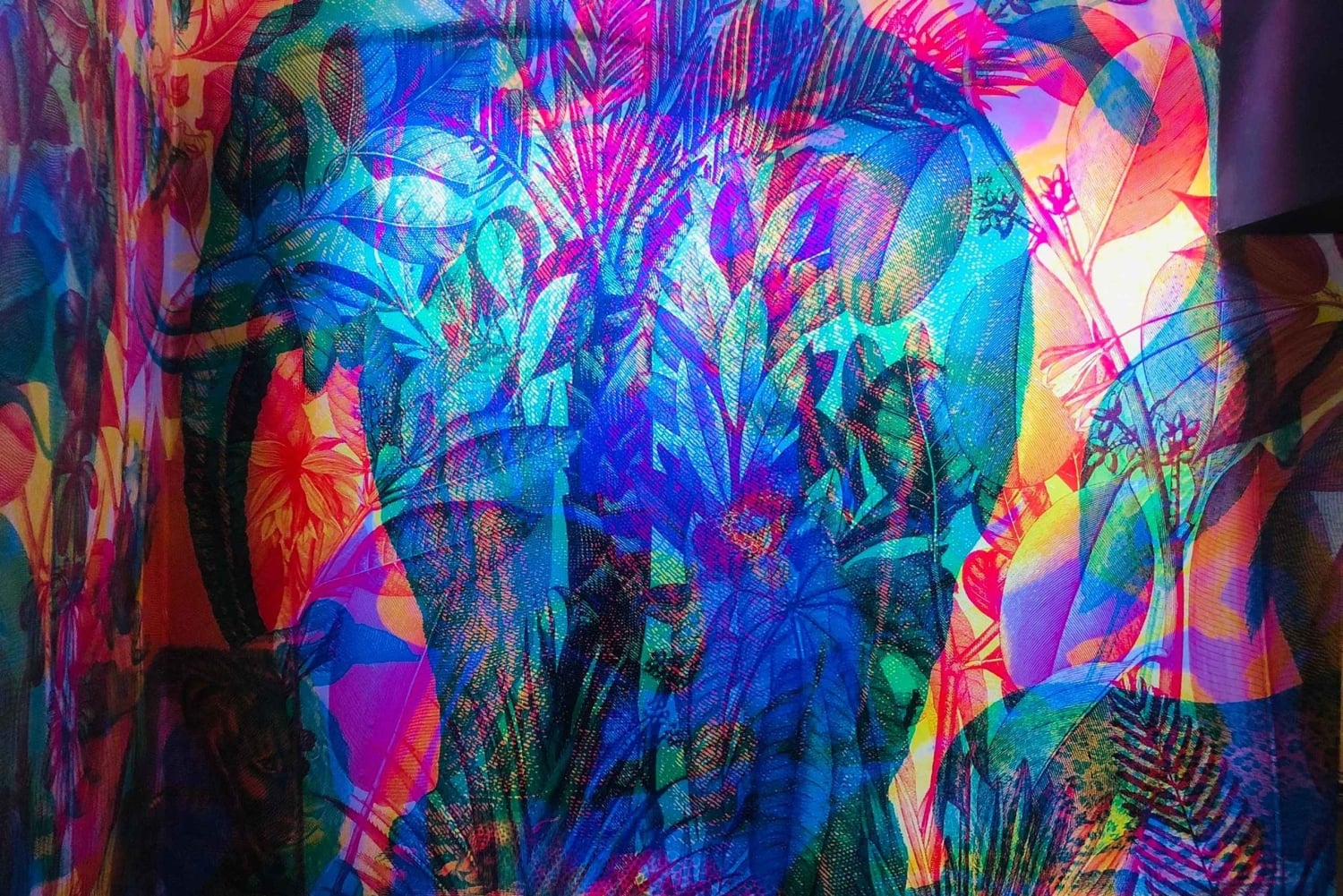 Palermo: Geführter Spaziergang durch die Altstadt und das Museum der Illusionen