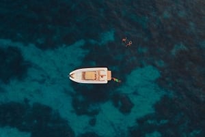 Palermo: HALF-DAY TOUR ON BOAT