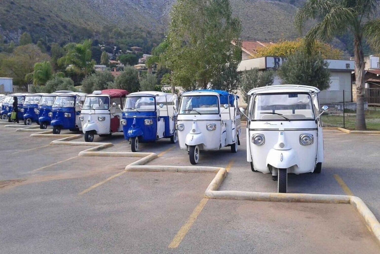 Palermo zwischen Geschichte, Sonne und Lächeln, Tour im APETAXi