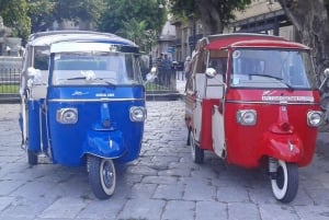 Palermo tra Storia, Sole e Sorriso, tour in APETAXi