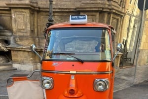 Palermo tra Storia, Sole e Sorriso, tour in APETAXi