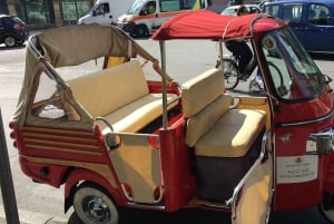 Palermo tra Storia, Sole e Sorriso, tour in APETAXi