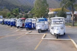 Palermo zwischen Geschichte, Sonne und Lächeln, Tour im APETAXi