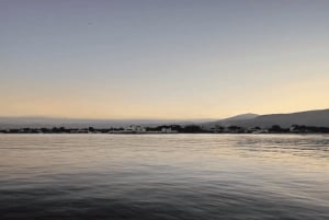 Palerme : sortie en bateau à Mondello, réserve de Capo Gallo, et collation