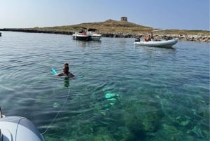 Palermo: Mondello & Isola delle Femmine båttur med dryck