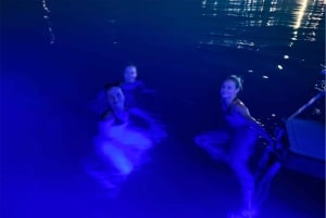 Palermo: Mondello & Isola delle Femmine båttur med dryck