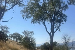 Palermo: Wycieczka na Monte Pellegrino, sanktuarium i sok