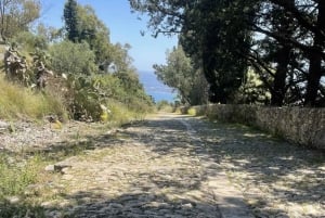 Palermo: Wycieczka na Monte Pellegrino, sanktuarium i sok