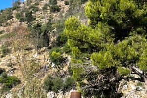 Palermo: Wycieczka na Monte Pellegrino, sanktuarium i sok