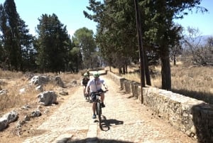 Palermo: Mount Pellegrino Mountain Guided Bike Tour