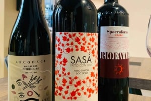 Palermo: Sicily Experience - Wine tasting and food pairing