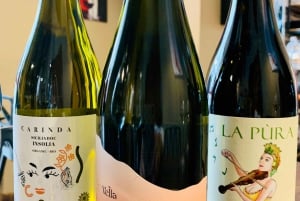 Palermo: Sicily Experience - Wine tasting and food pairing