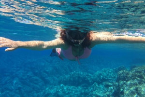 Palerme : visite d'une jounée en bateau avec plongée en apnée avec déjeuner et vin