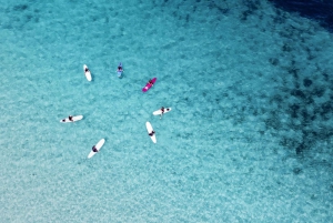 Palermo: Surf Lesson with Certified Instructor