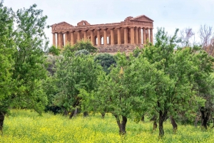 Palermo to Siracusa: stop al Valley of Temples & Roman Villa