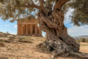 Van Palermo naar Siracusa: stop Agrigento en Piazza Armerina