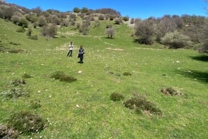 Palermo: Rundresa i Madonie bland Europas största jordbruksföretag