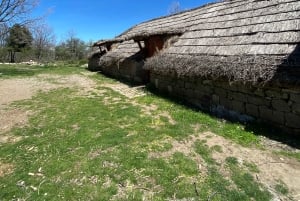 Palermo: Rundresa i Madonie bland Europas största jordbruksföretag