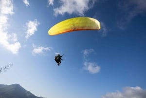 Palermo: tandem paragliding foto's en video's
