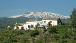 Palmento di Gilferraro Etnalodge