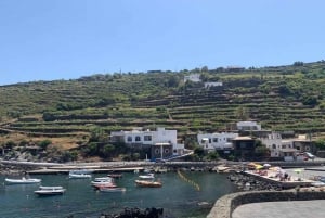 Pantelleria: Nature's Spa Guided Tour with Mud Treatment