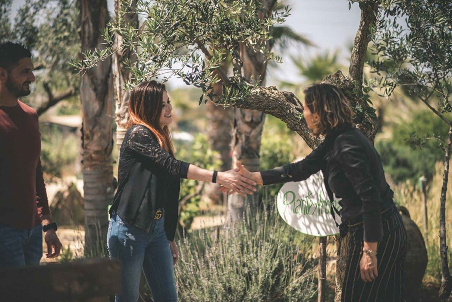 Partinico: Tour di degustazione di vini e vigneti storici siciliani