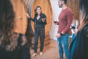 Partinico: Tour di degustazione di vini e vigneti storici siciliani