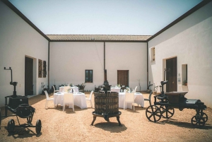 Partinico: Tour di degustazione di vini e vigneti storici siciliani