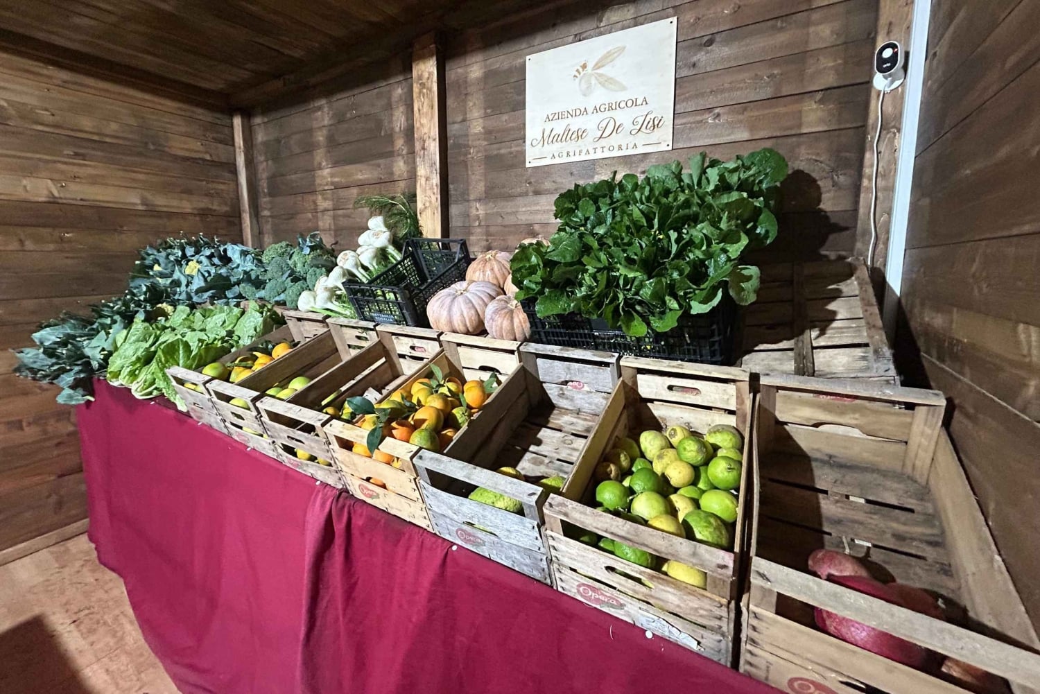 Partinico: olijfgaard, Montessori-laboratorium 1-4 jaar, dieren en proeverij