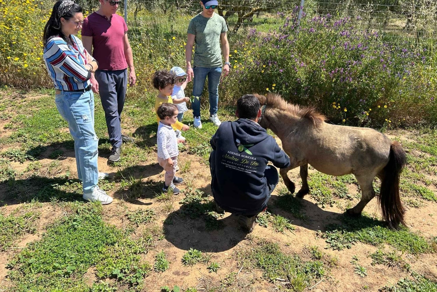 Partinico: olijfgaard, Montessori-laboratorium 1-4 jaar, dieren en proeverij