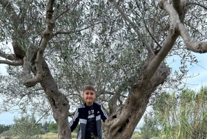 Partinico: degustação de azeite virgem extra e legumes na quinta