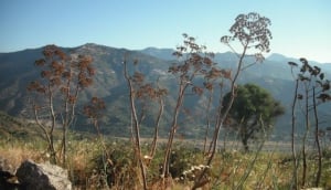 Peloritani Mountains