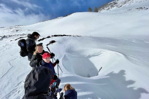 Piano Provenzana: Guided Mt. Etna Snowshoeing Trek