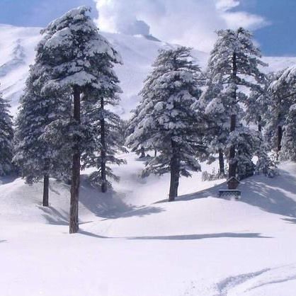 Piano Provenzana Ski Resort