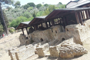 Piazza Armerina og omvisning i Caltagirone