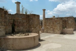 Piazza Armerina: Privérondleiding Villa Romana del Casale