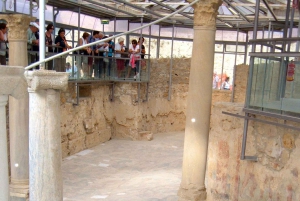 ピアッツァ アルメリーナ：ローマ時代のヴィラ デル カサーレのモザイク ツアー