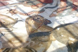 ピアッツァ アルメリーナ：ローマ時代のヴィラ デル カサーレのモザイク ツアー