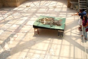 ピアッツァ アルメリーナ：ローマ時代のヴィラ デル カサーレのモザイク ツアー