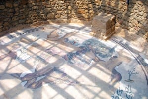 ピアッツァ アルメリーナ：ローマ時代のヴィラ デル カサーレのモザイク ツアー