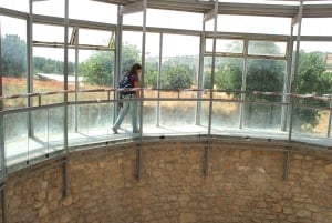 ピアッツァ アルメリーナ：ローマ時代のヴィラ デル カサーレのモザイク ツアー