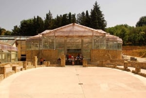 Piazza Armerina: visita guiada à Villa Romana del Casale