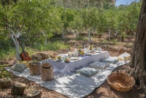 Pic nic in a country house in Palermo