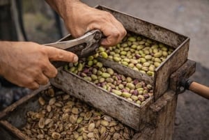Esperienza Pistacchio di Bronte: dal campo alla degustazione